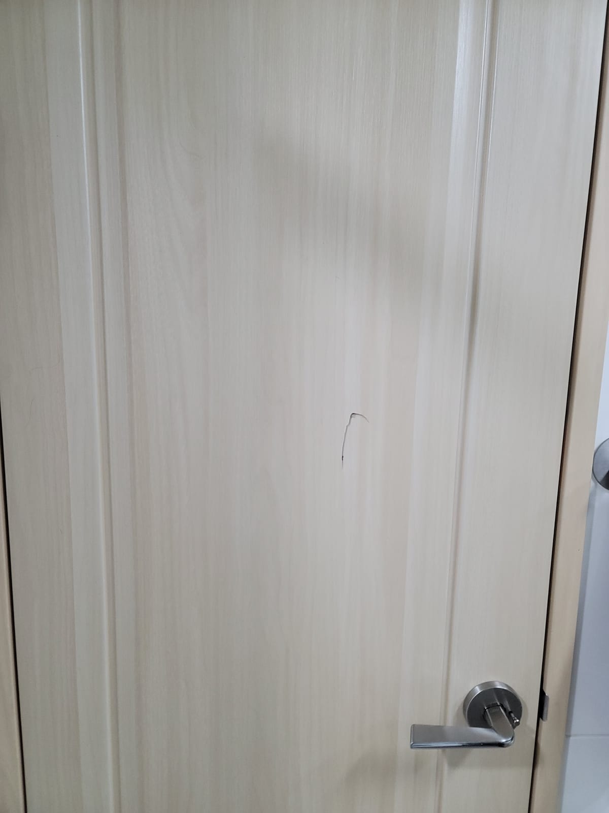 충남 홍성 내포 문짝수리(나무문,ABS도어) 시공 전 1