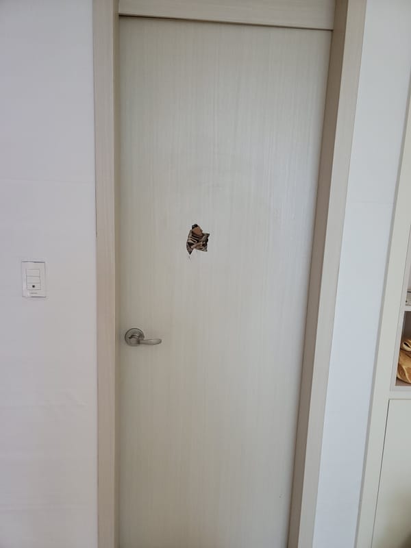 충남 천안 문짝수리(나무문,ABS도어) 시공 전